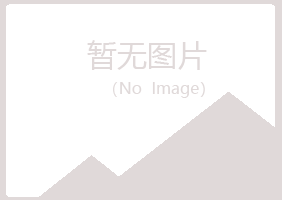 白银平川夏槐航空航天有限公司